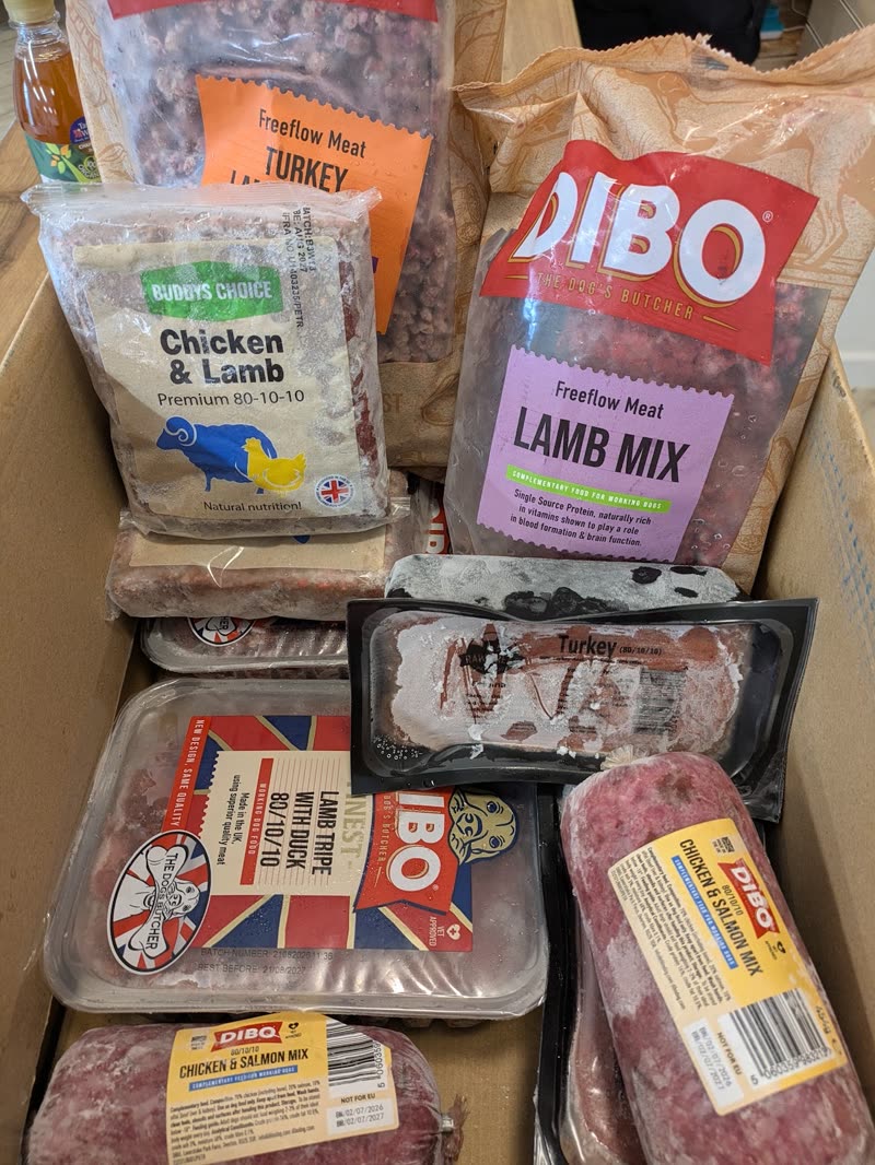 A box of frozen raw dog food packs ready to go out, cropped clear of the burned-in words